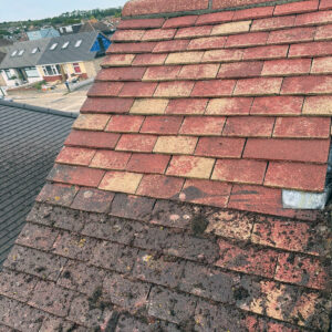 Roof Cleaning Services Roof Cleaning Services
